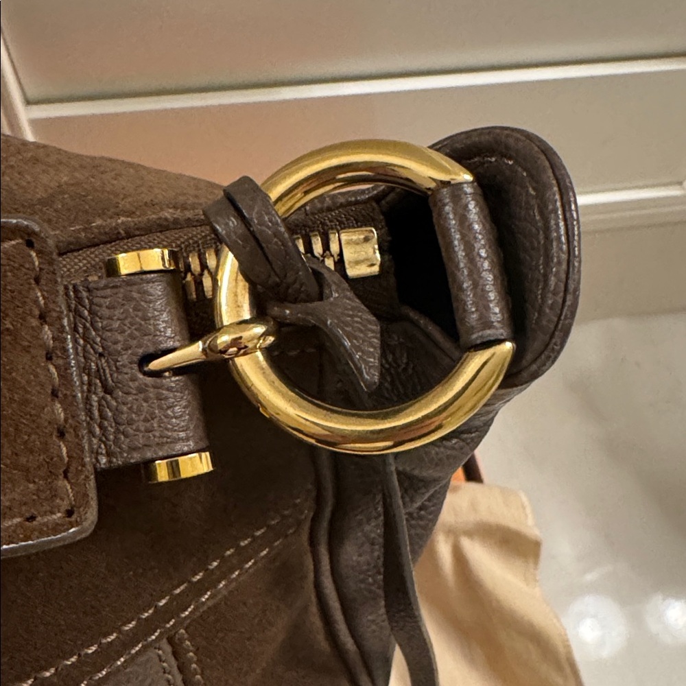 Louis Vuitton Brown Audacieuse GM tote bag - Picture 14 of 16